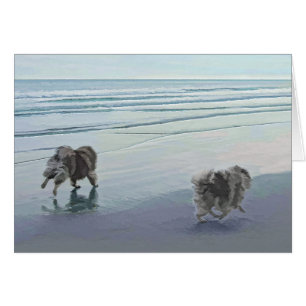 Keeshonds an der Küste Malerei Hund Kunst