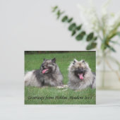 Keeshonds Apache & Havel Smiling Dutchmen Postcard Postkarte (Stehend Vorderseite)