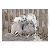 Keeshonds at Gate Painting - Original Dog Art (Vorderseite (Horizontal))