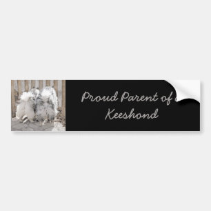 Keeshonds at Gate Painting - Original Dog Art Autoaufkleber