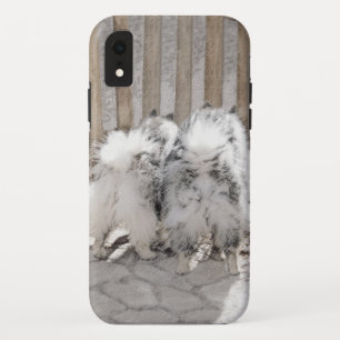 Keeshonds at Gate Painting - Original Dog Art Case-Mate iPhone Hülle