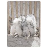 Keeshonds at Gate Painting - Original Dog Art Klemmbrett (Rückseite)