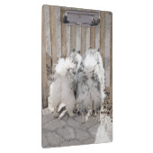 Keeshonds at Gate Painting - Original Dog Art Klemmbrett (Rechts)