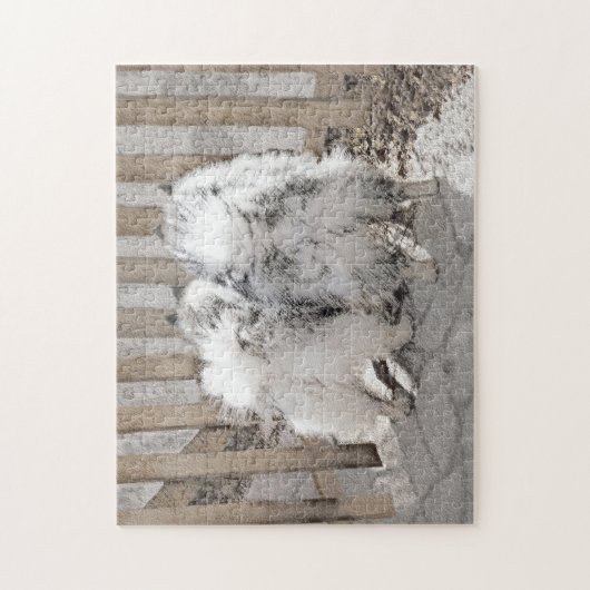 Keeshonds at Gate Painting - Original Dog Art Puzzle (Vertikal)