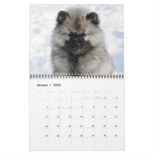 Keesridge-Kalender 2022 Kalender (Jan 2026)