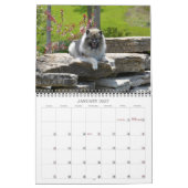 Keesridge Keeshond-Kalender 2019 Kalender (Jan 2027)