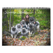 Keesridge Keeshond-Kalender 2019 Kalender (Titelbild)