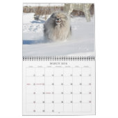 Keesridge Keeshond-Kalender 2019 Kalender (Mär 2026)