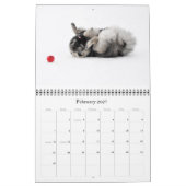 Keesridge Keeshonden Kalender 2015 (Feb 2027)