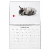 Keesridge Keeshonden Kalender 2015 (Feb 2026)