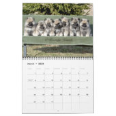 Keesridge Kennels Kalender 2020 (Mär 2026)