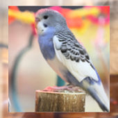 Keet Fensteraufkleber (Blatt 2)