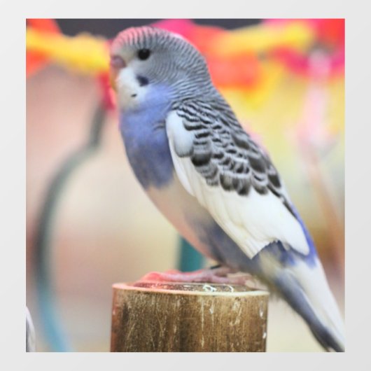 Keet Fensteraufkleber (Blatt)