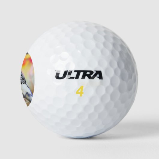 Keet Golfball (Logo)