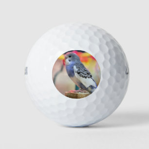 Keet Golfball