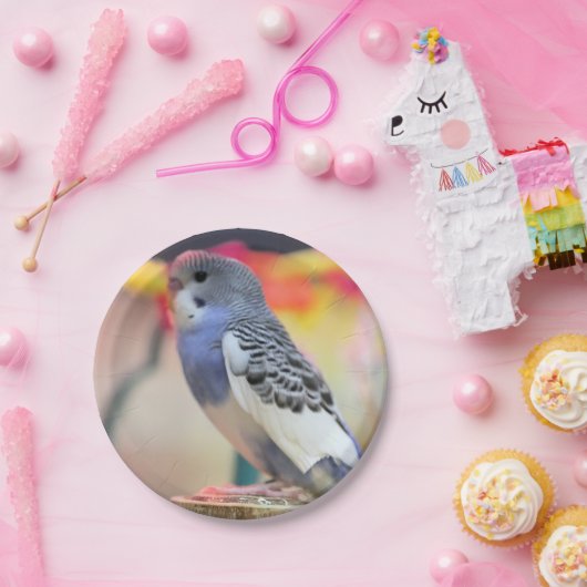 Keet Pappteller (Party)