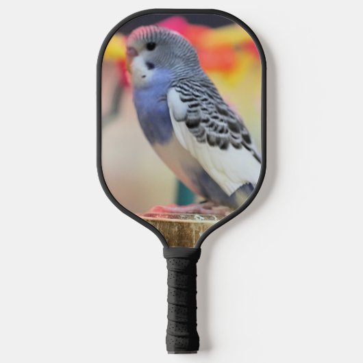Keet Pickleball Schläger (Vorderseite)