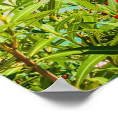 Kefalonia Griechenland Poster (Ecke)