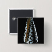 Kegel-Muschel 2 Button (Vorne & Hinten)