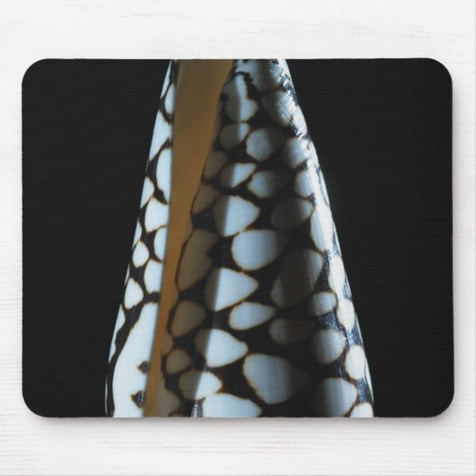 Kegel-Muschel 2 Mousepad (Vorne)