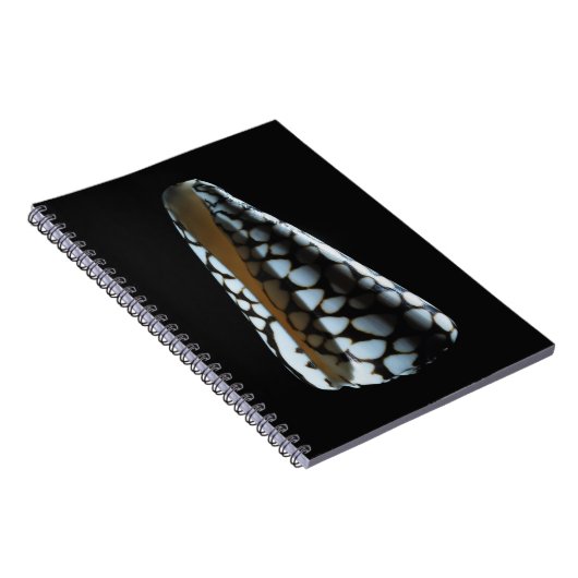 Kegel-Muschel 2 Notizblock (Rechte Seite)