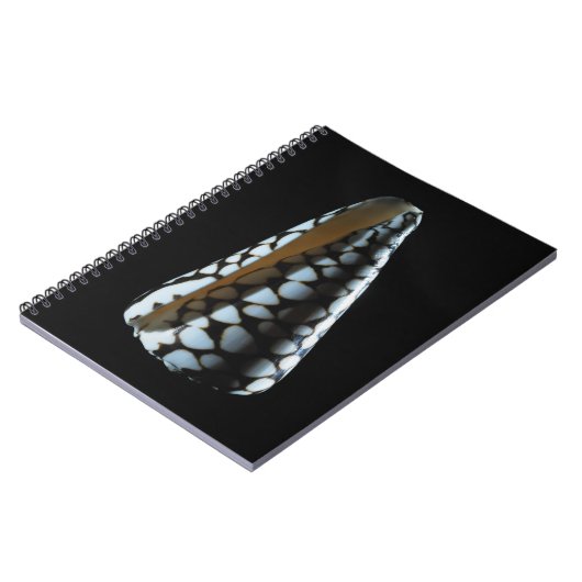 Kegel-Muschel 2 Notizblock (Linke Seite)