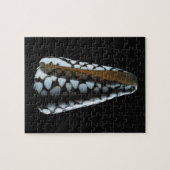 Kegel-Muschel 2 Puzzle (Horizontal)