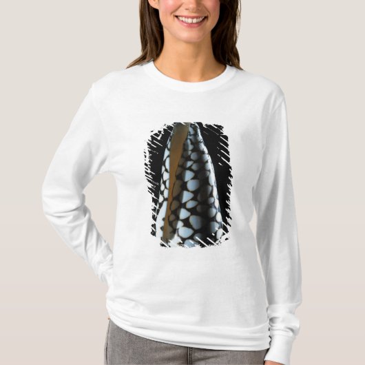 Kegel-Muschel 2 T-Shirt (Vorderseite)