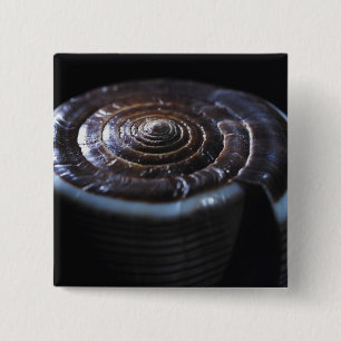 Kegel-Muschel Button