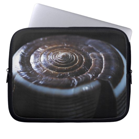 Kegel-Muschel Laptopschutzhülle (Vorderseite)