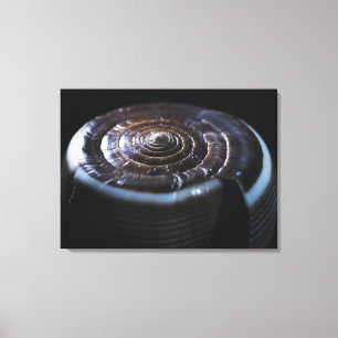 Kegel-Muschel Leinwanddruck