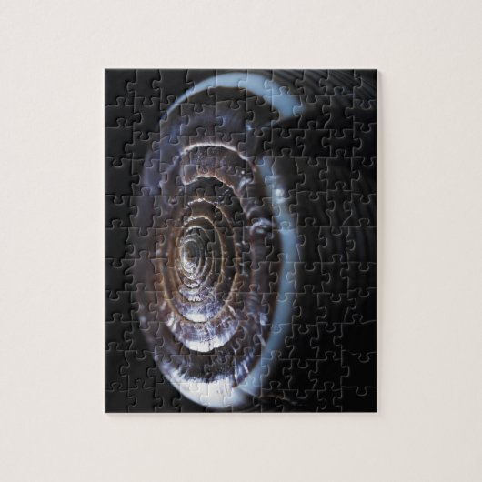 Kegel-Muschel Puzzle (Vertikal)