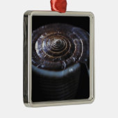 Kegel-Muschel Silbernes Ornament (Rechts)