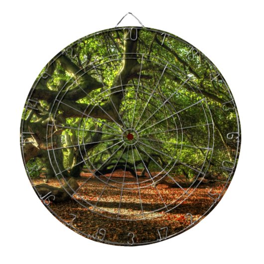 Kegelbaume von Lavizzara Dartscheibe (vorne)