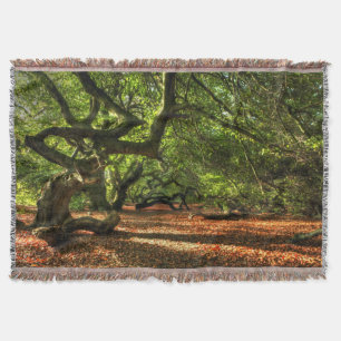 Kegelbaume von Lavizzara Decke