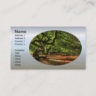 Kegelbaume von Lavizzara Visitenkarte