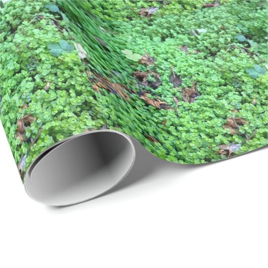 Kegelenfeld Geschenkpapier (Rolleneckpunkt)