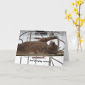 Kehren Karte (Gelbe Blume)