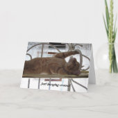 Kehren Karte (Vorderseite)