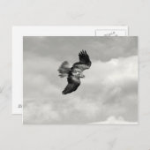 Keil Postkarte (Vorne/Hinten)