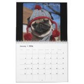 Keimen Sie den Mops-Kalender 2019 Kalender (Jan 2026)