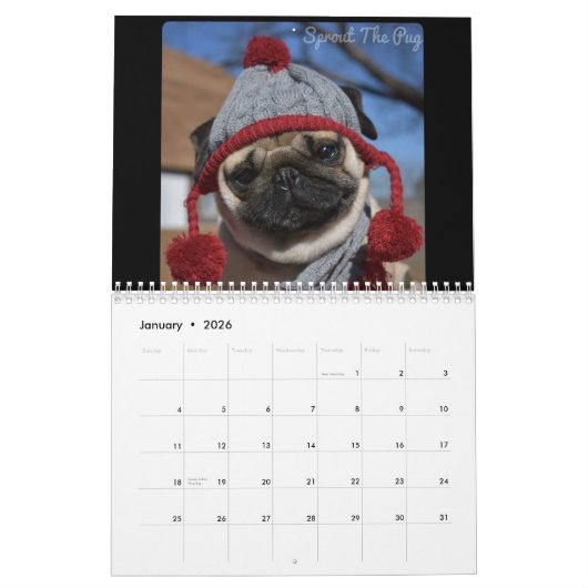 Keimen Sie den Mops-Kalender 2019 Kalender (Jan 2026)