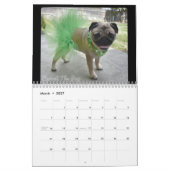 Keimen Sie den Mops-Kalender 2019 Kalender (Mär 2027)