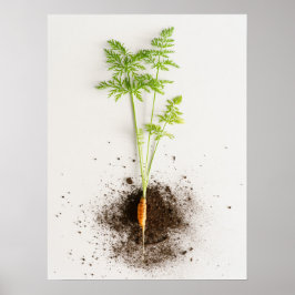 Keimende Karotte Minimalistisches Botanisches Foto Poster