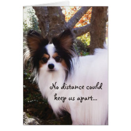 KEIN Abstand konnte uns behalten getrenntPapillon