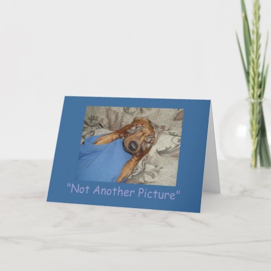 Kein anderes Bild Karte (Vorderseite)