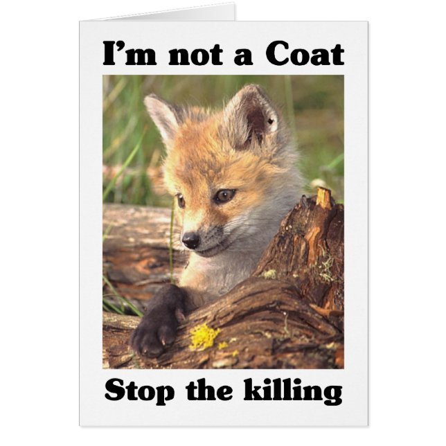 Kein Coat-Fox (Vorne)