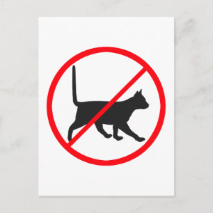 Kein Eintrag für Katzen! Postkarte