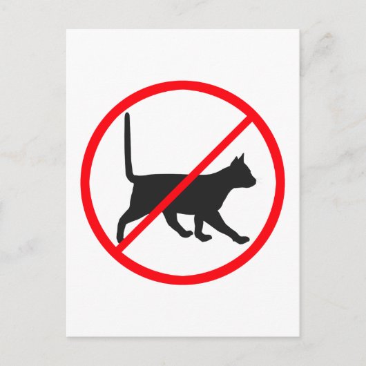 Kein Eintrag für Katzen! Postkarte (Vorderseite)