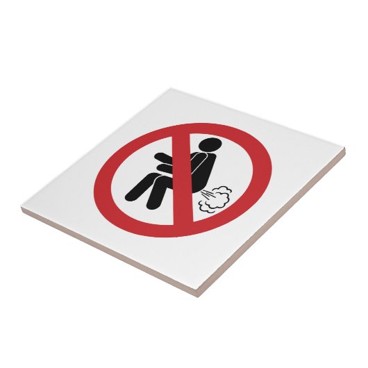 KEIN Farnzeichen ⚠ Funny Thai Toilet ⚠ Fliese (Seite)